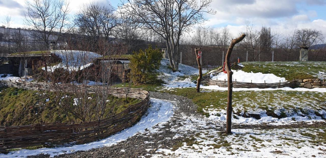 Valea Celor Doisprezece Hotel Piriu Dobreni Kültér fotó