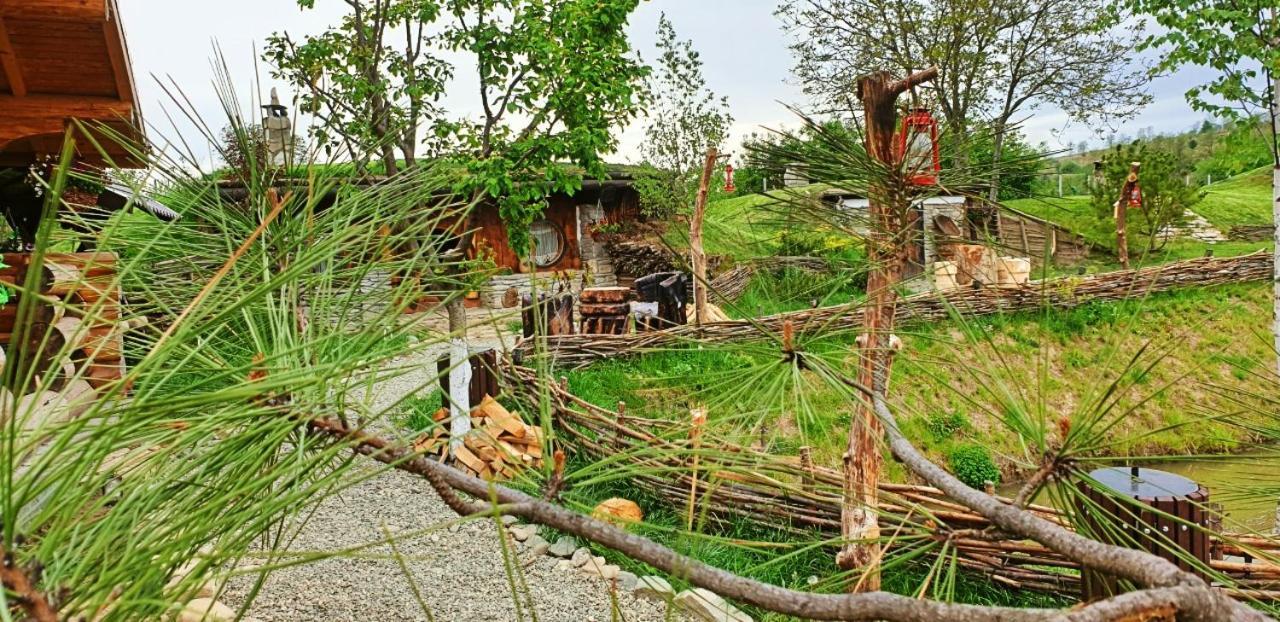 Valea Celor Doisprezece Hotel Piriu Dobreni Kültér fotó